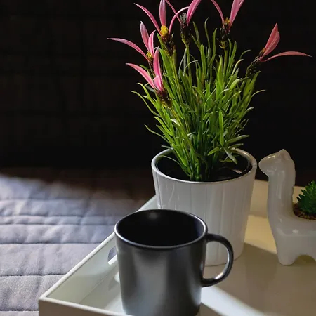 Apartament Z Balkonem Niedaleko Starego Miasta By Renters Apartment *